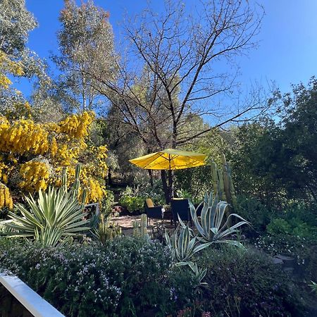 Villa La Reforma - Newly Designed 4Br House & Pool In Los Angeles By Topanga Екстериор снимка